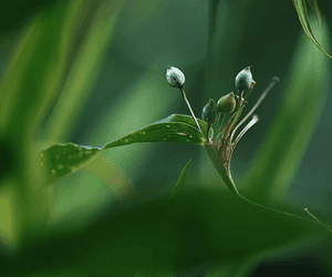 보리 100g 영양성분, 칼로리와 탄수화물까지 같이 보기