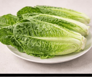 로메인상추 100g 칼로리와 영양성분, 샐러드 채소로 어떻게 볼까