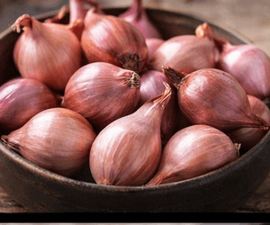 샬롯 100g 칼로리와 영양성분, 생것 기준으로 보기
