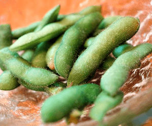 대두 100g 영양성분, 칼로리와 단백질을 삶은 콩 기준으로 보기